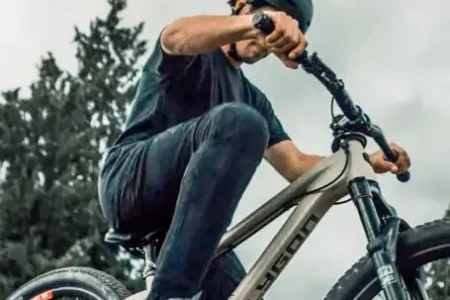 Anthony 455x425